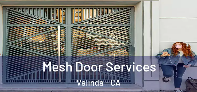 Mesh Door Services Valinda - CA